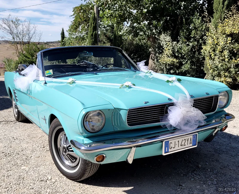 1966 Ford Mustang in Montalcino 4