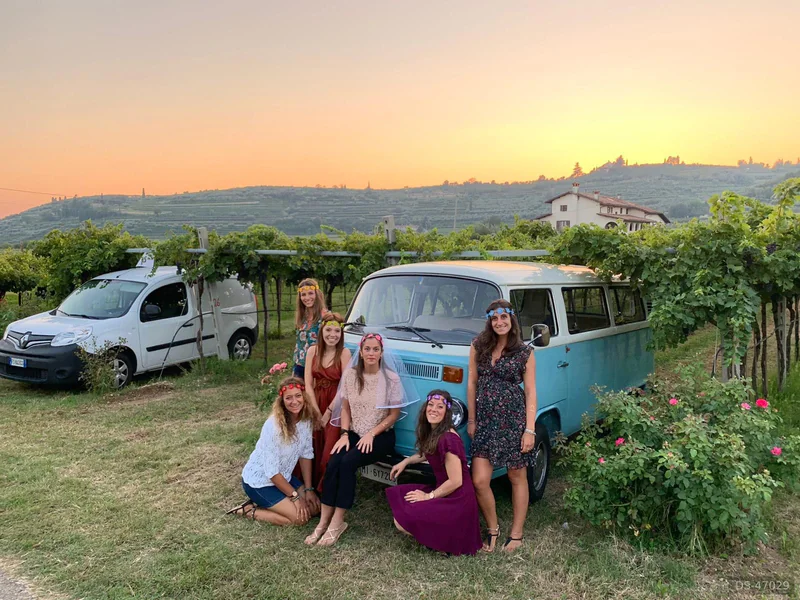 1974 Volkswagen T 2 Bullismo Hippye in Arbizzano-Santa Maria 8