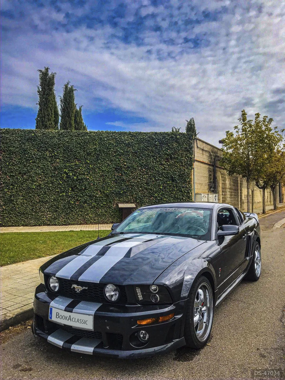 2008 Ford Mustang