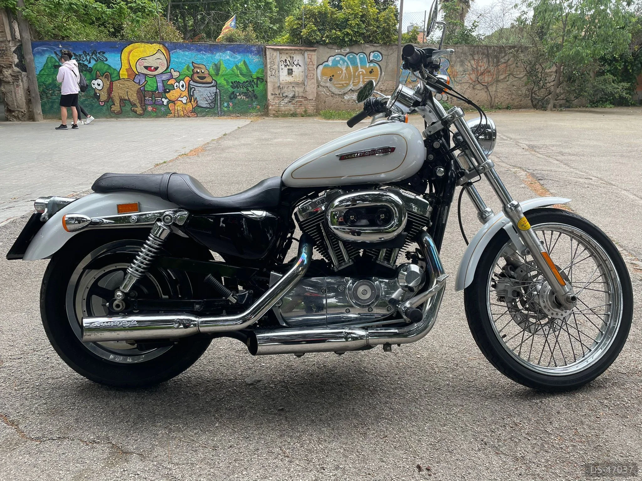 2008 Harley-Davidson Sporster Custom