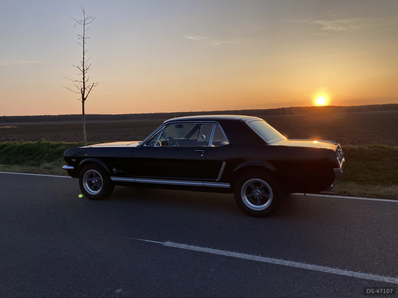 1965 Ford Mustang in Niedergörsdorf 5