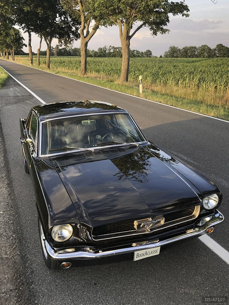 1965 Ford Mustang in Niedergörsdorf 7
