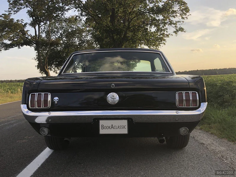 1965 Ford Mustang in Niedergörsdorf 6