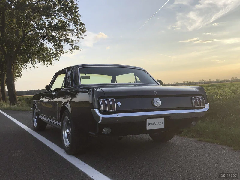 1965 Ford Mustang in Niedergörsdorf 2