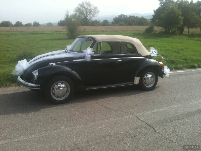 1973 Volkswagen Maggiolone in Sinalunga 5