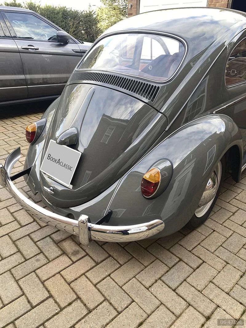 1963 Volkswagen Beetle in Windsor 2