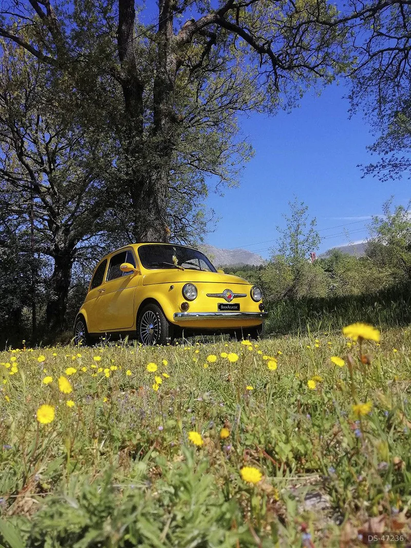 1967 Fiat 500 F in Avezzano 6