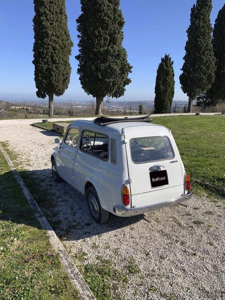 1966 Fiat 500 Giardiniera in Fano 2