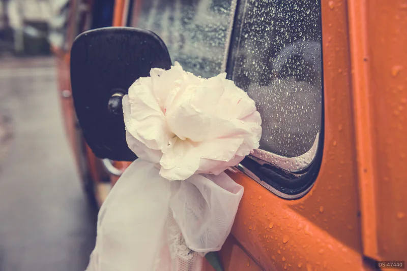1975 Volkswagen T2 in Bern 7