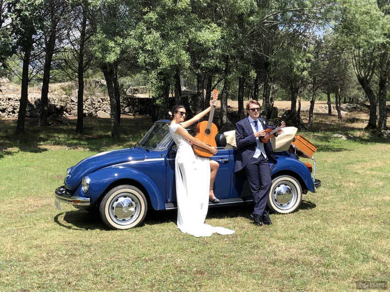 1978 Volkswagen Escarabajo Cabrio in Madrid 7