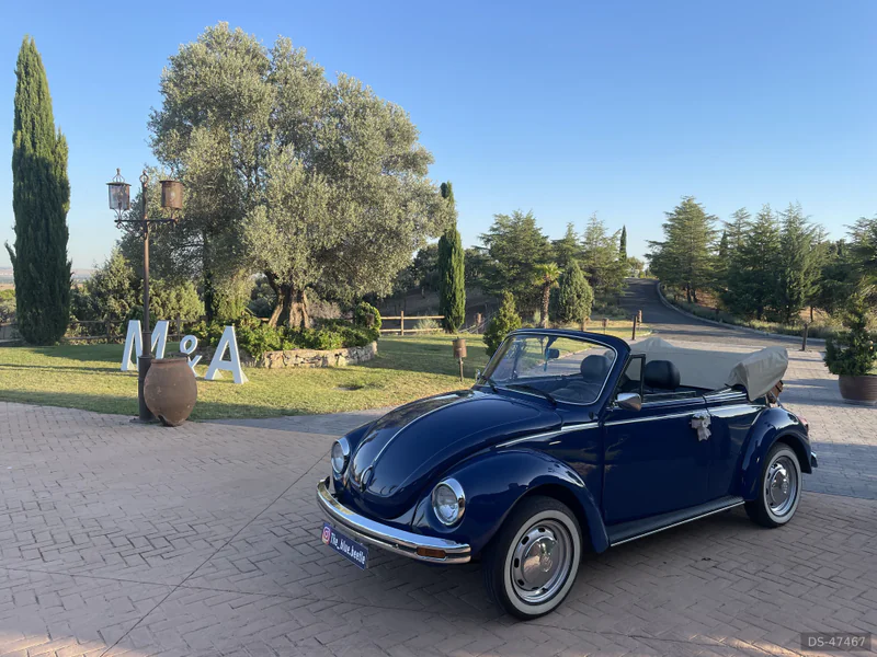 1978 Volkswagen Escarabajo Cabrio in Madrid 10