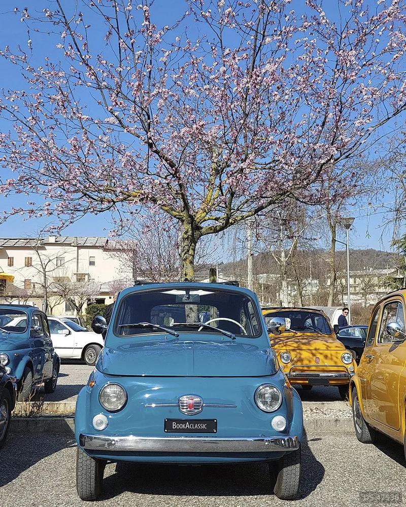 1968 Fiat 500 F in Vicenza 3