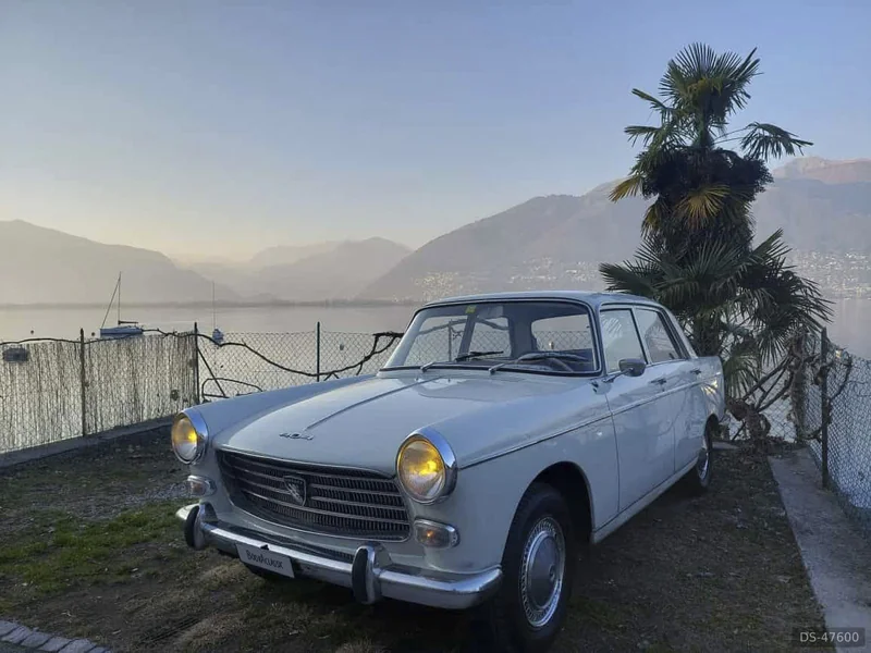1964 Peugeot 404 in Elgg 2