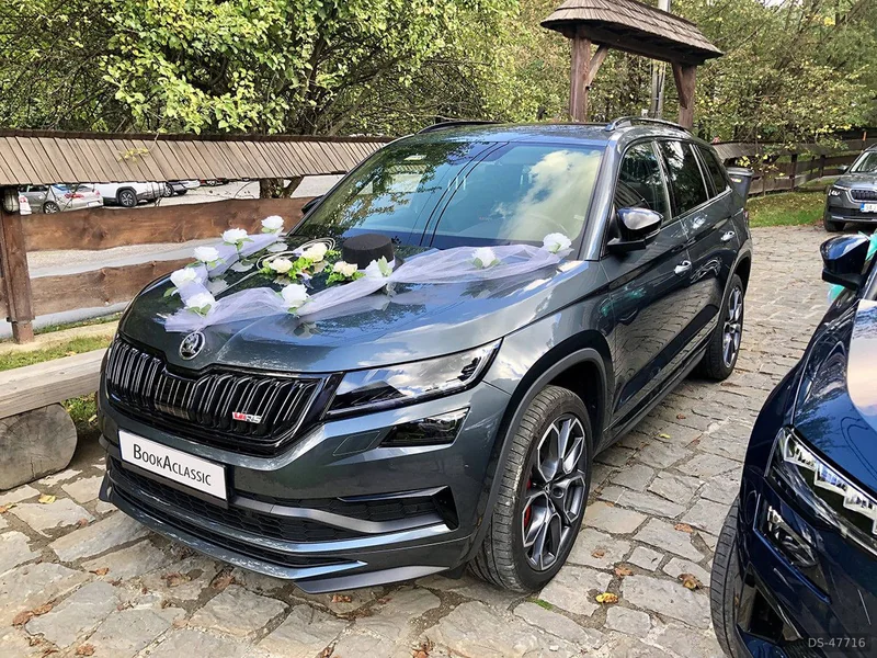 2020 Skoda Kodiaq Rs in Rožnov Pod Radhoštěm 3