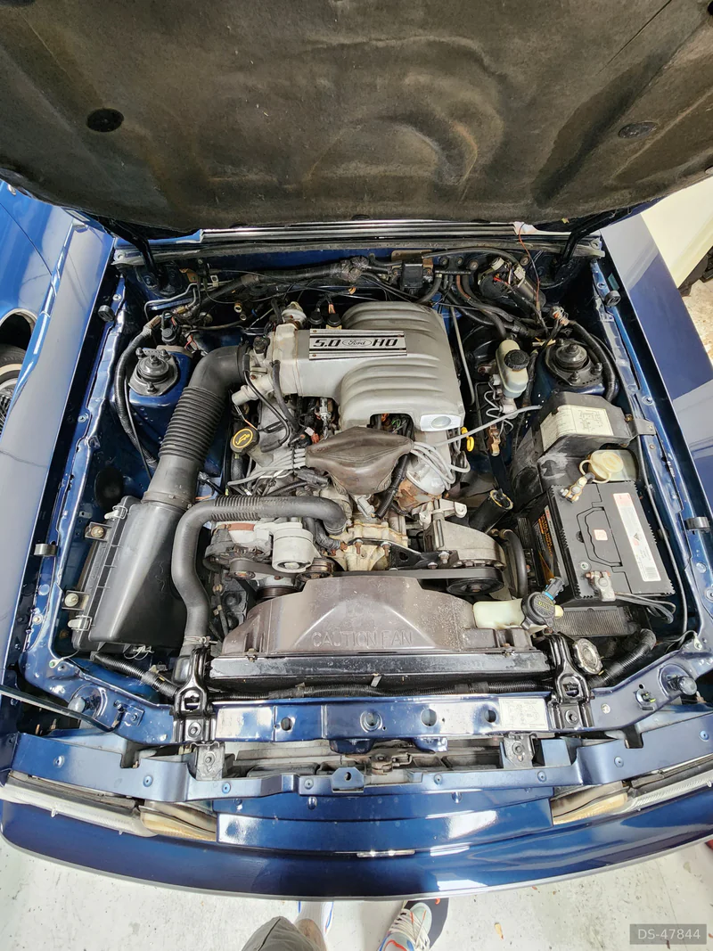 1988 Ford Mustang Gt in Auckland 5