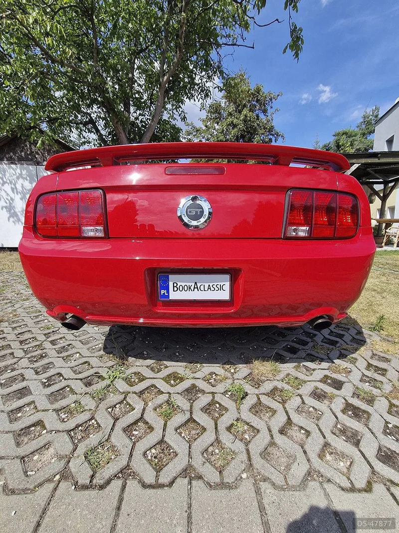 2006 Ford Mustang Gt in Poznań 4