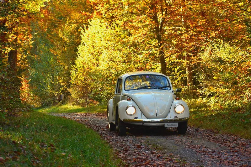 1973 Volkswagen Käfer 1200 in Chur 2