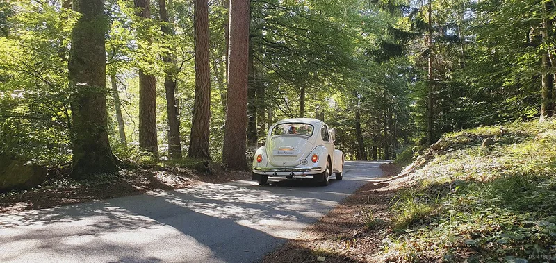 1973 Volkswagen Käfer 1200 in Chur 4