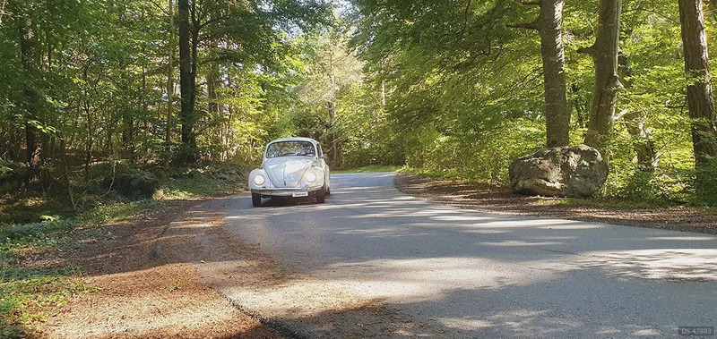 1973 Volkswagen Käfer 1200 in Chur 3