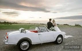 1960 Alfa Romeo Giulietta Spider in Vibo Valentia 2