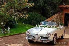 1960 Alfa Romeo Giulietta Spider in Vibo Valentia 7