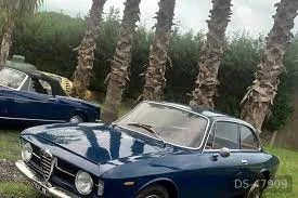 1960 Alfa Romeo Gt Junior in Vibo Valentia 4