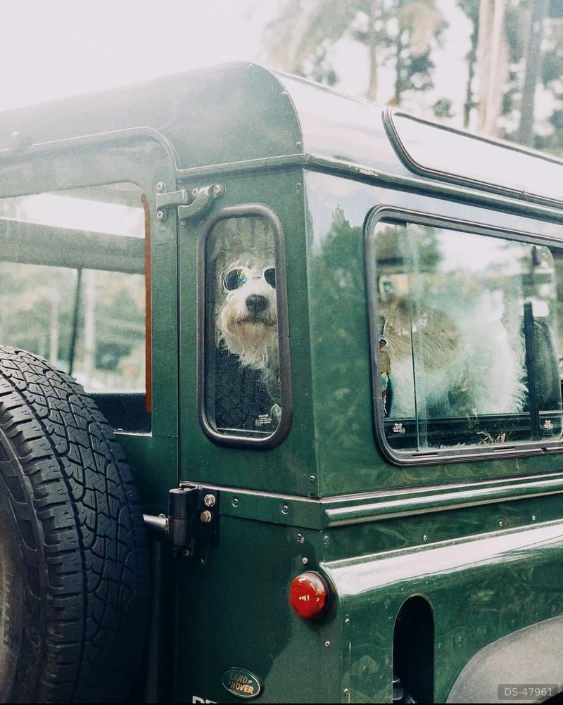 1999 Land Rover Defender in Curitiba 2