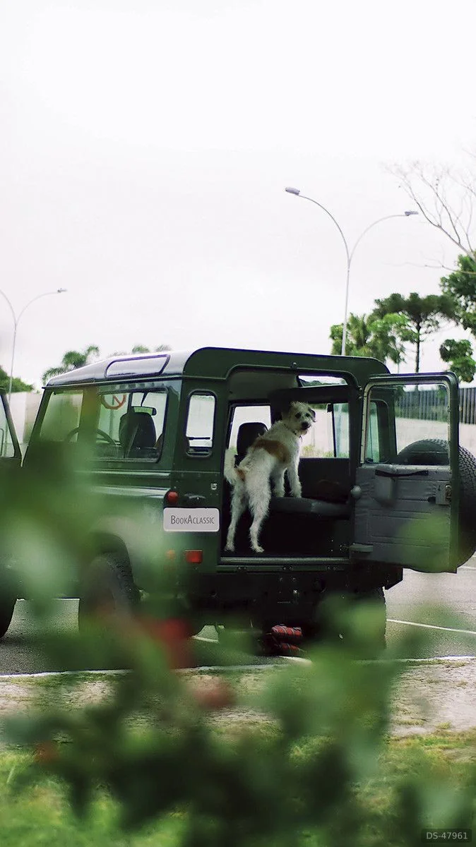 1999 Land Rover Defender in Curitiba 3