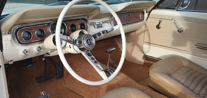 1966 Ford Mustang in Scherpenzeel 7