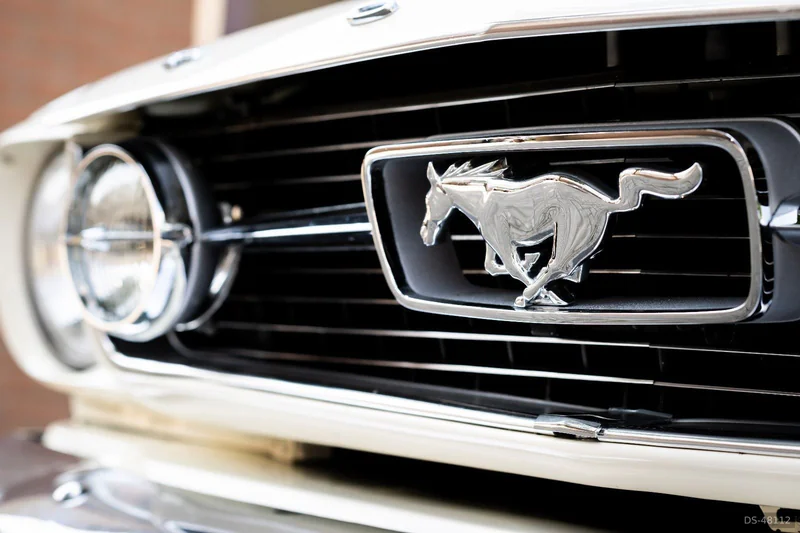 1966 Ford Mustang in Scherpenzeel 8