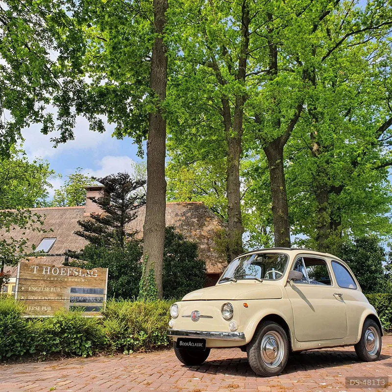 1967 Fiat 500 Cabrio in Scherpenzeel 6