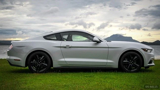 2016 Ford Mustang in Scherpenzeel 2