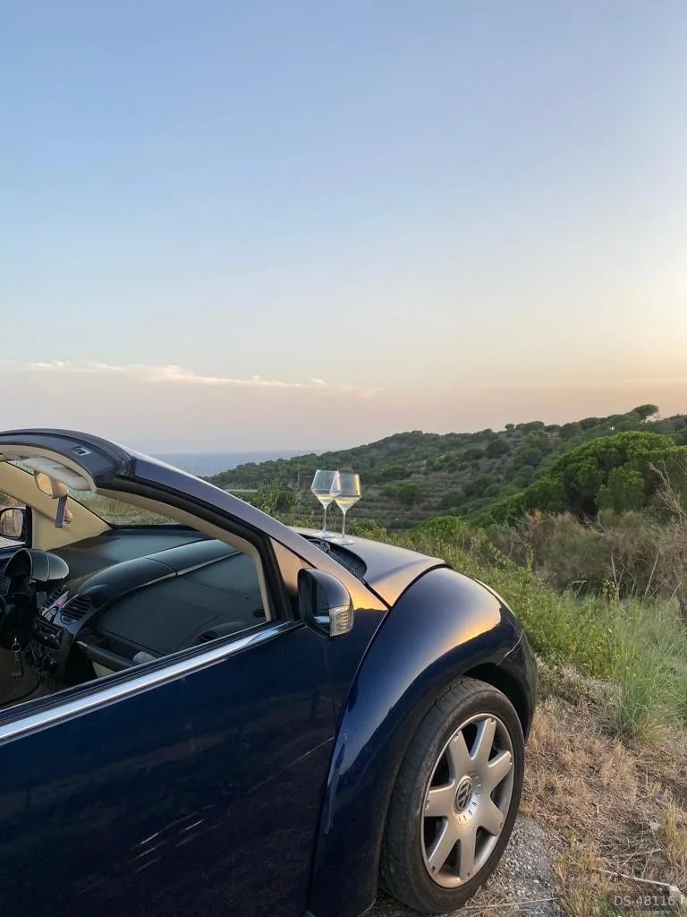 2003 Volkswagen New Beetle Cabrio in Matadepera 2
