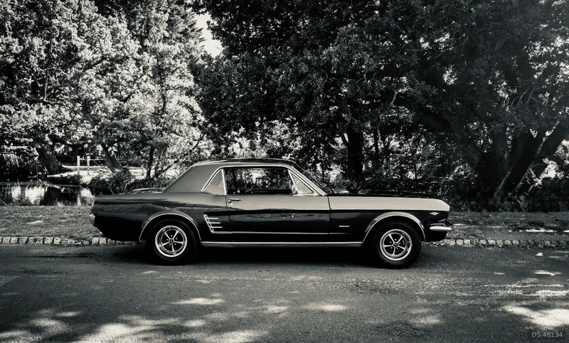 1966 Ford Mustang in Lancing 2