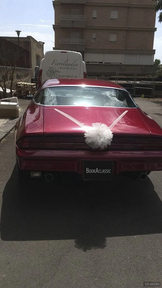 1979 Chevrolet Camaro in Firenze 5