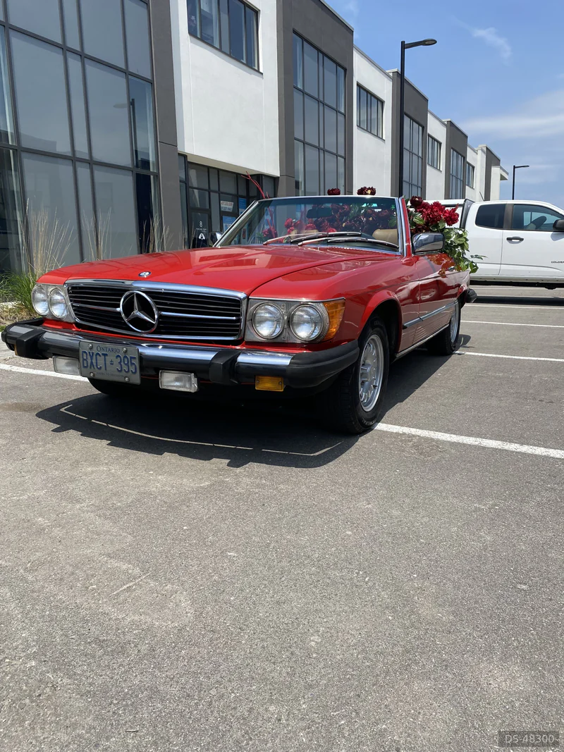 1980 Mercedes-Benz 450SL in Hamilton 4