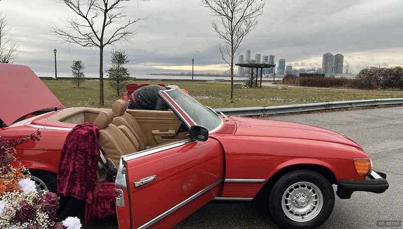 1980 Mercedes-Benz 450SL in Hamilton 13