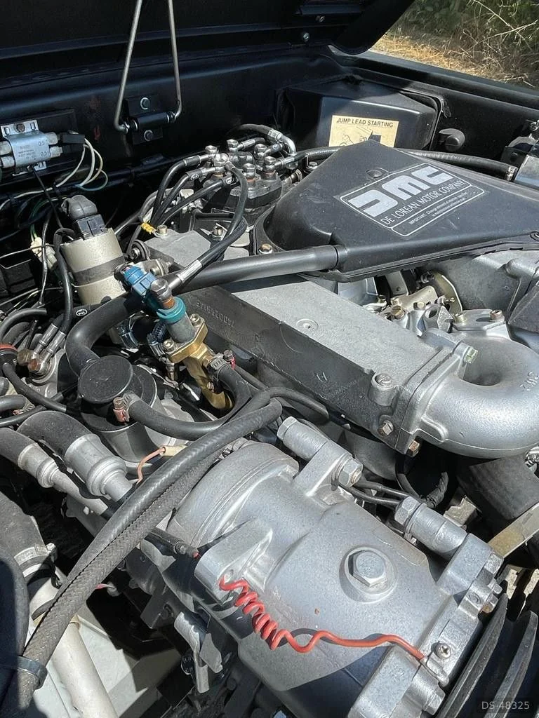 1981 DeLorean DMC in Bingham 7