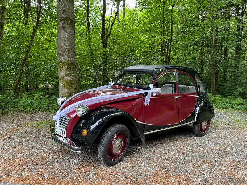 1985 Citroen 2CV Charleston in Stavanger 8