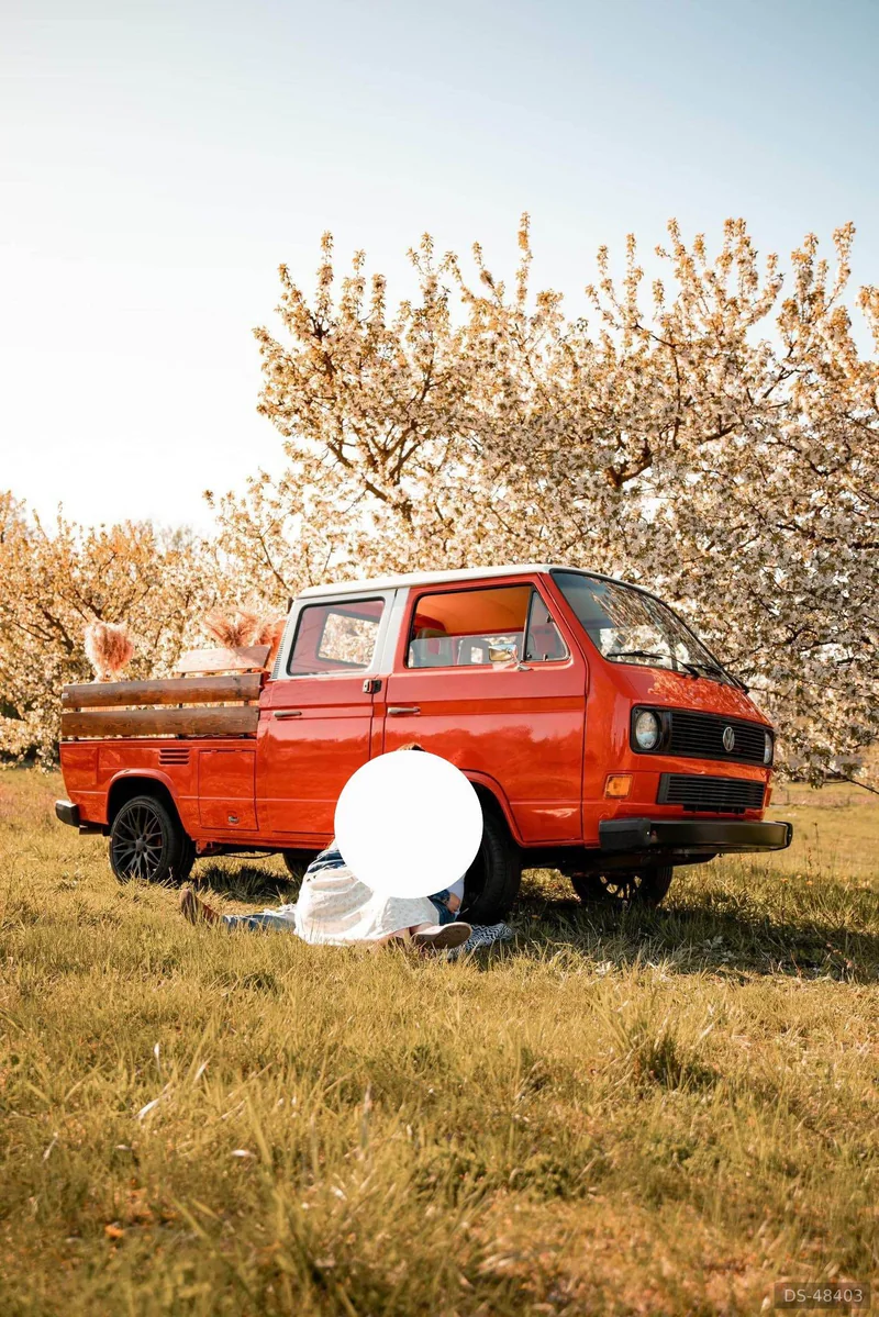 1980 Volkswagen Transporter in Ozorków 4