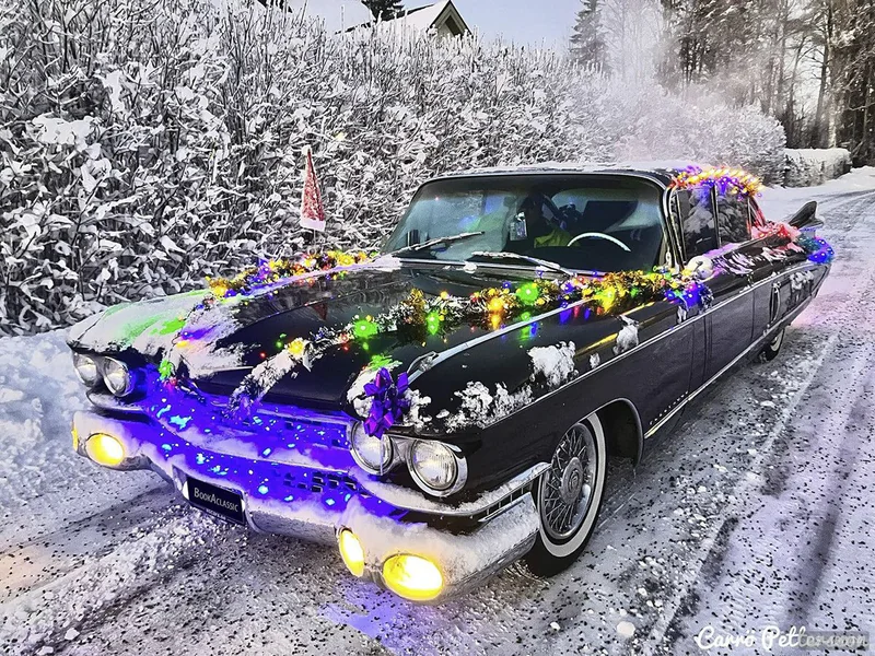 1959 Cadillac Fleetwood in Tierp 3