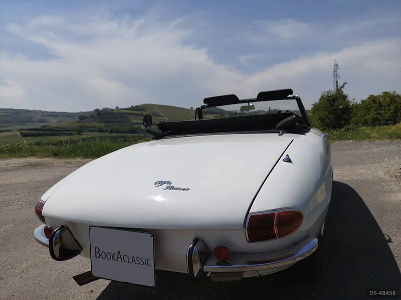 1967 Alfa Romeo Spider Duetto in Mb 6