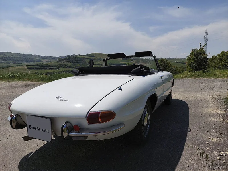 1967 Alfa Romeo Spider Duetto in Mb 4