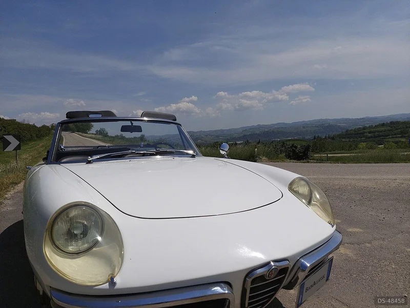 1967 Alfa Romeo Spider Duetto in Mb 5