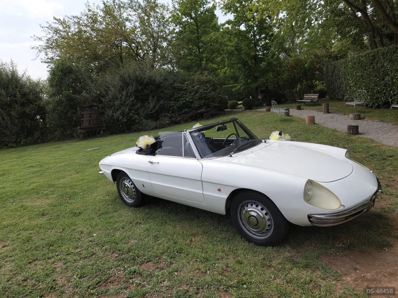 1967 Alfa Romeo Spider Duetto in Mb 9
