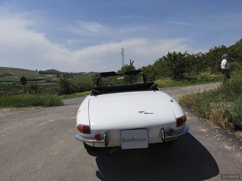 1967 Alfa Romeo Spider Duetto in Mb 2