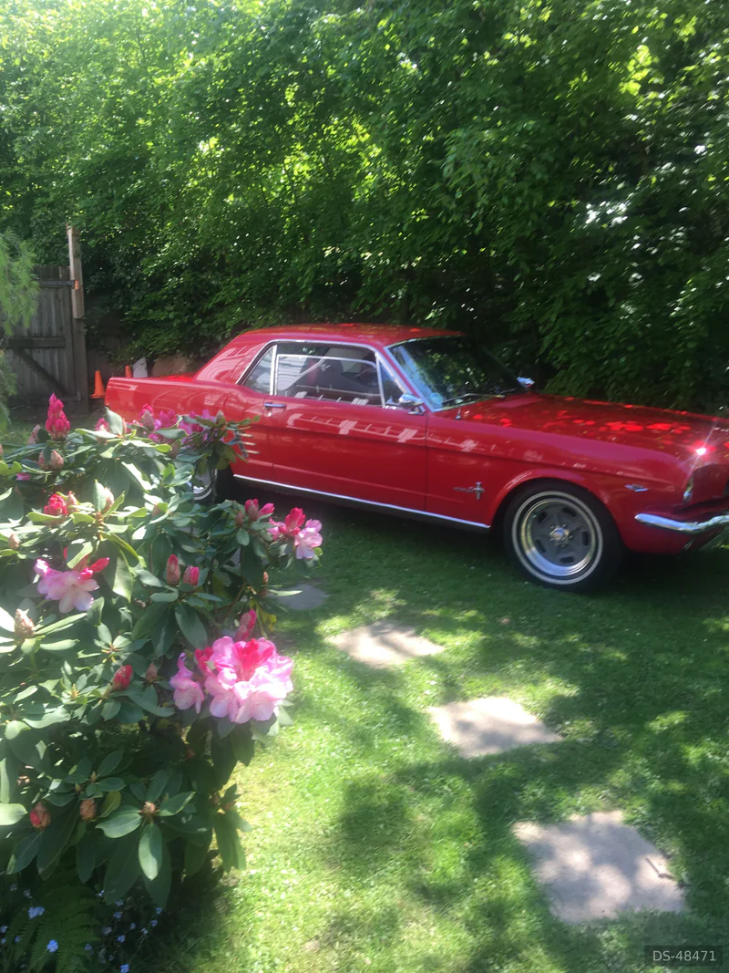 1966 Ford Mustang in Hawkhurst 4