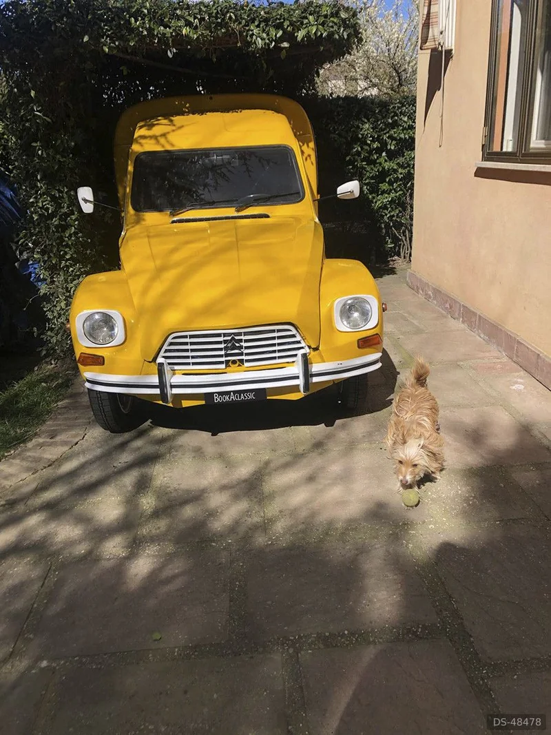 1980 Citroen Acadiane in San Giorgio Delle Pertiche 4