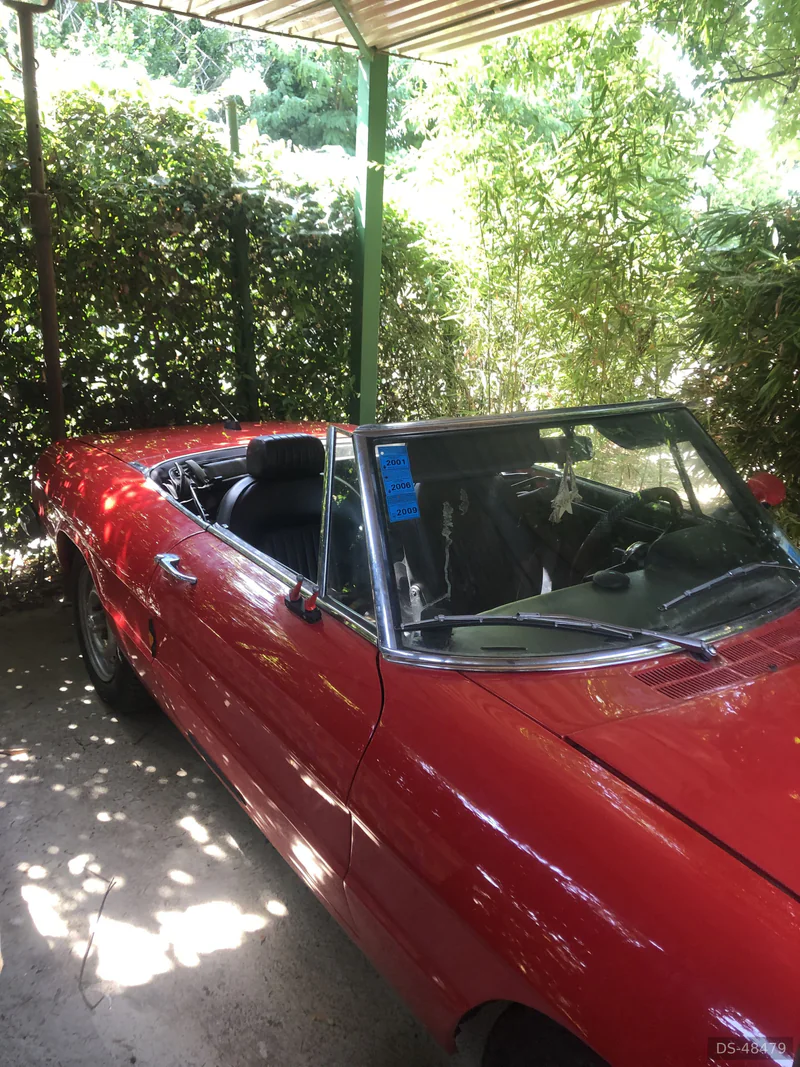 1986 Alfa Romeo Spider Duetto in San Giorgio Delle Pertiche 3
