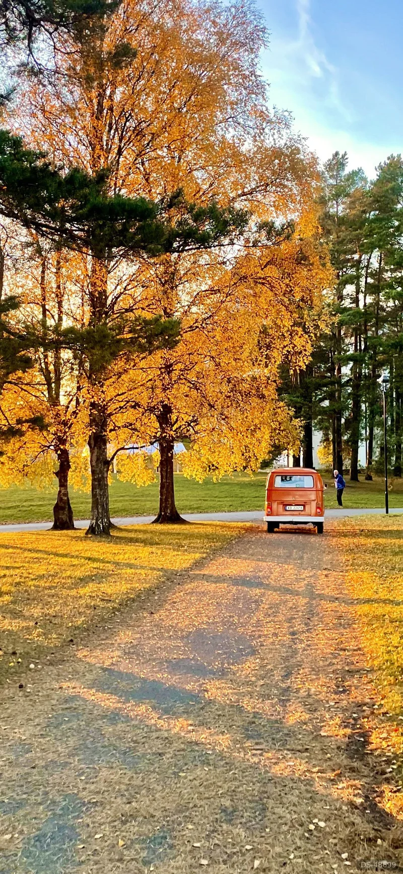 1973 Volkswagen T2 in Oslo 2